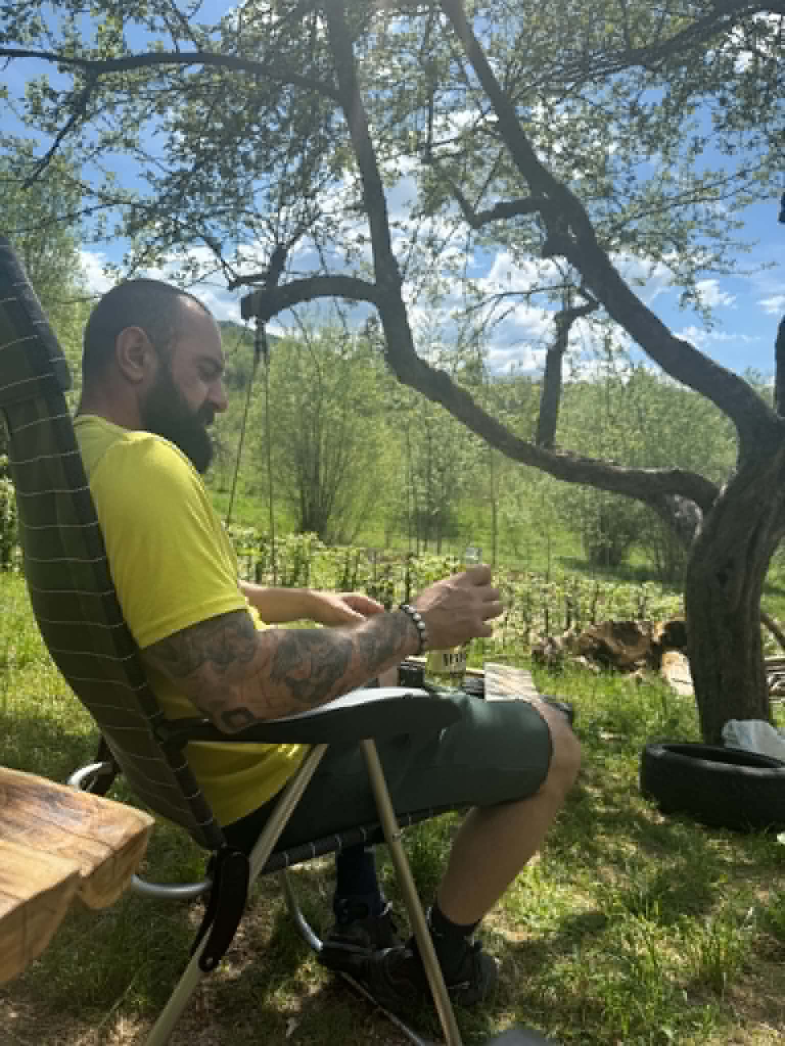 Natură sălbatică